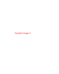 E-SP157211-004company info product photos03.png