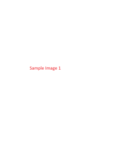 E-SP248211company info product photos01.png